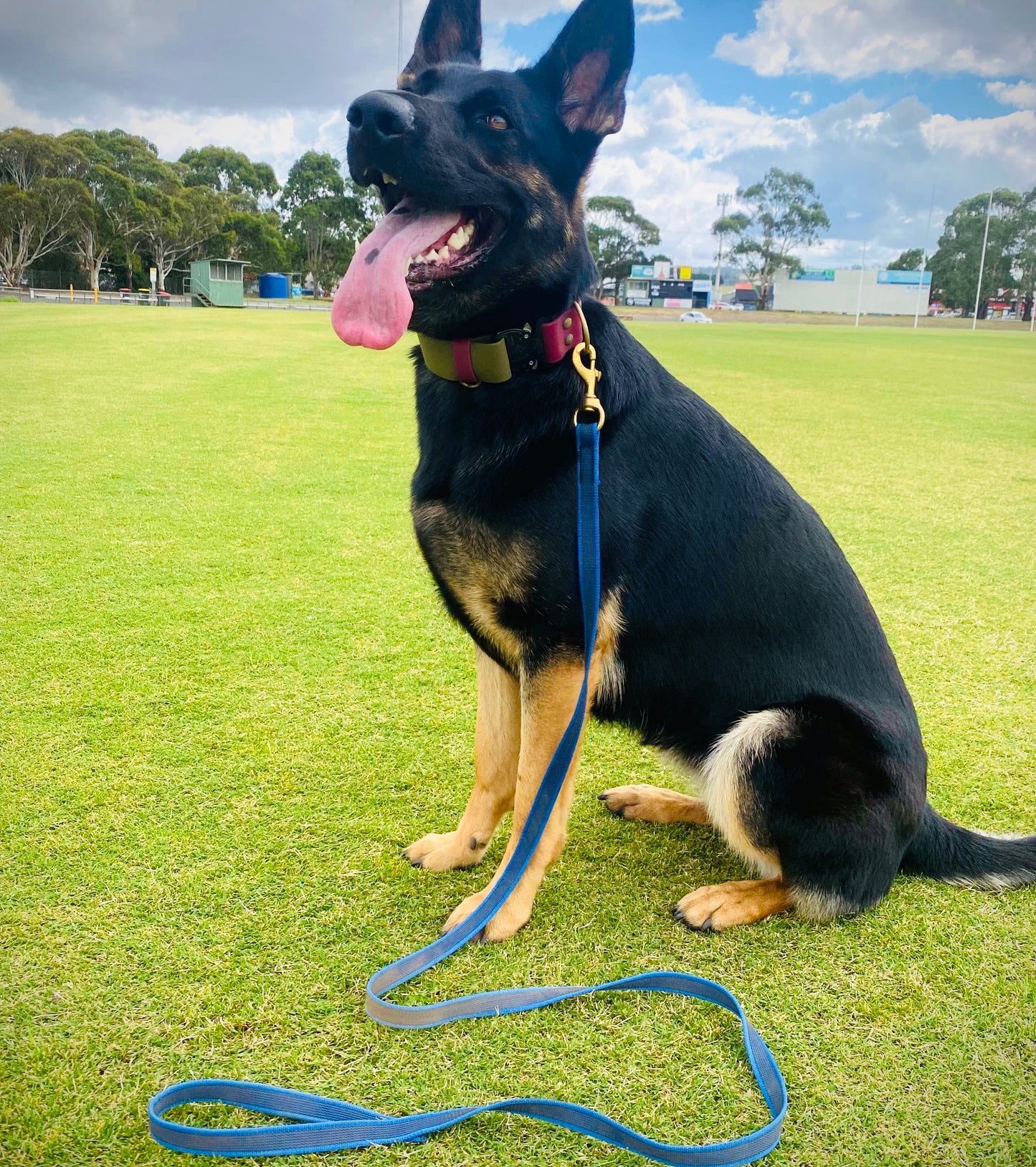 Beefy 2m Supergrip Lead (blue)