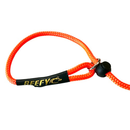 Beefy Slip Lead 6mm (4 colour options)