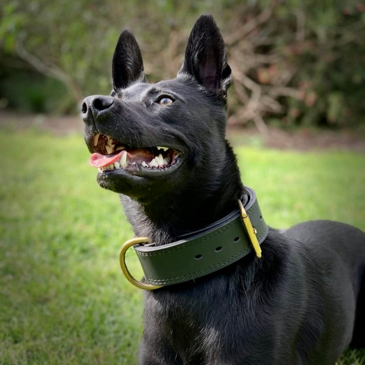 Beefy 2 inch T-Bone Black