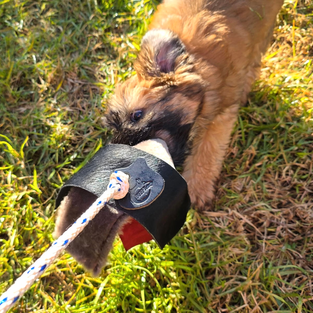 Beefy Tug Mate