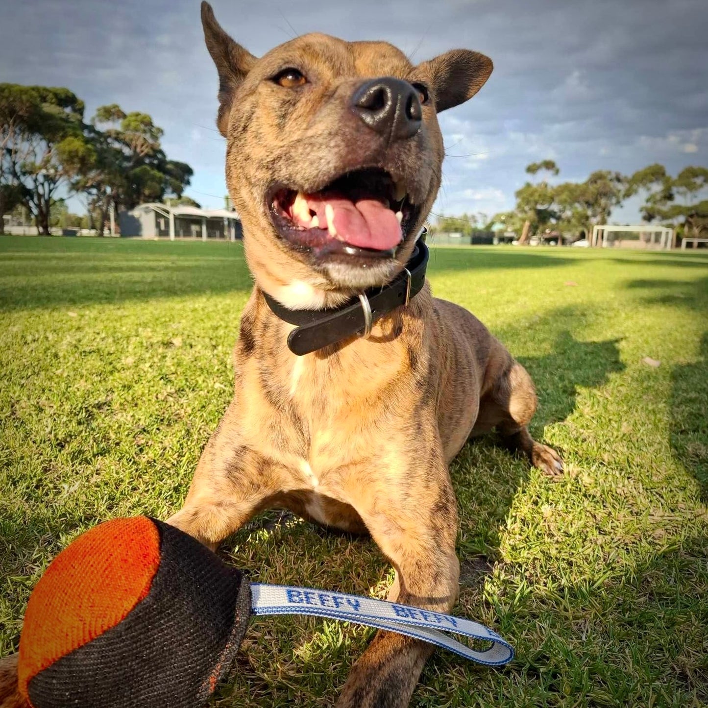 Beefy French Linen Ball (orange)