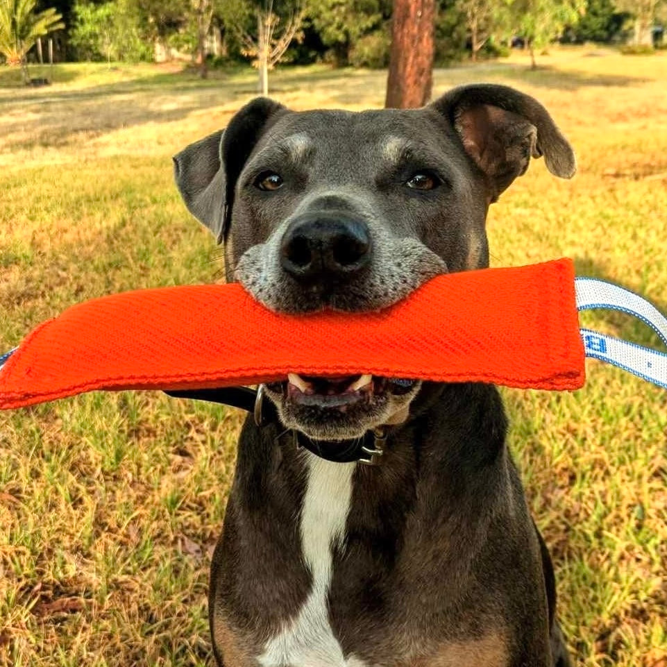 Beefy Double Handled Tug (blue)