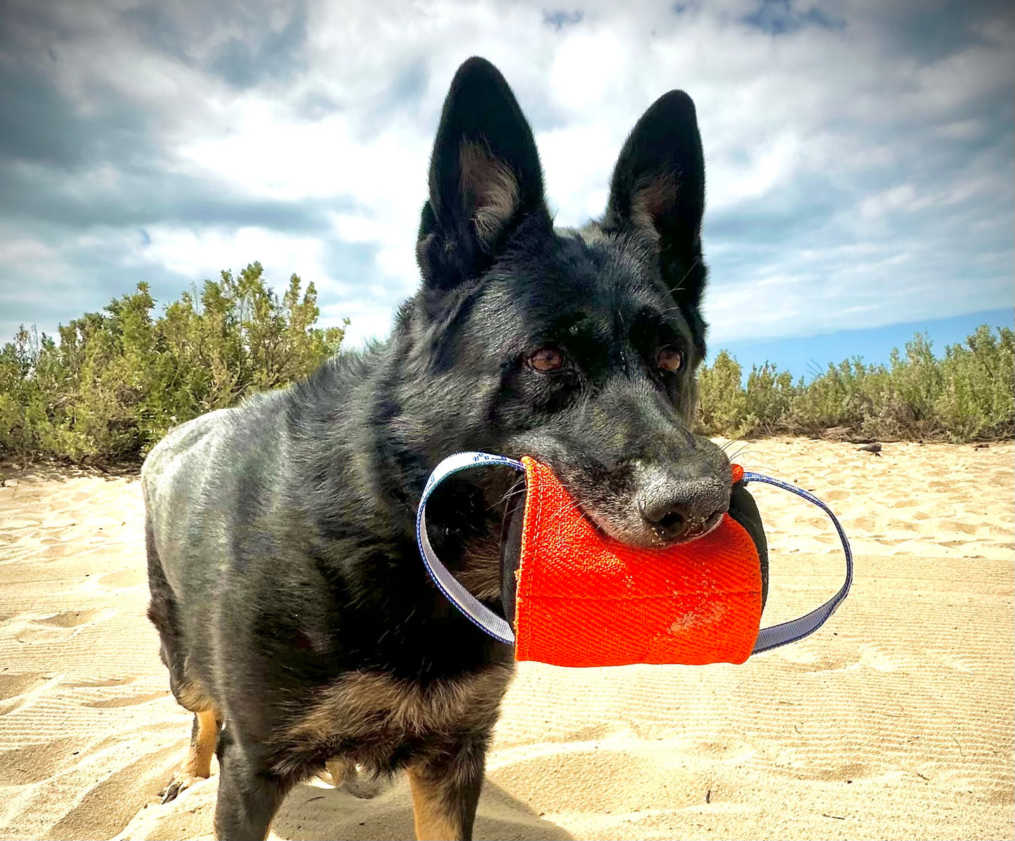 Beefy Linen Dumbbell (orange)