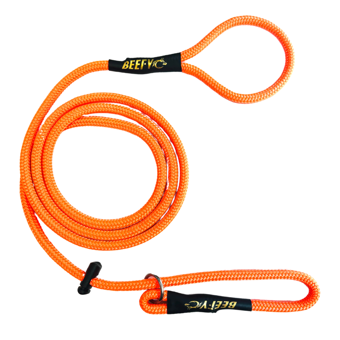 Beefy Slip Lead 8mm (5 colour options)