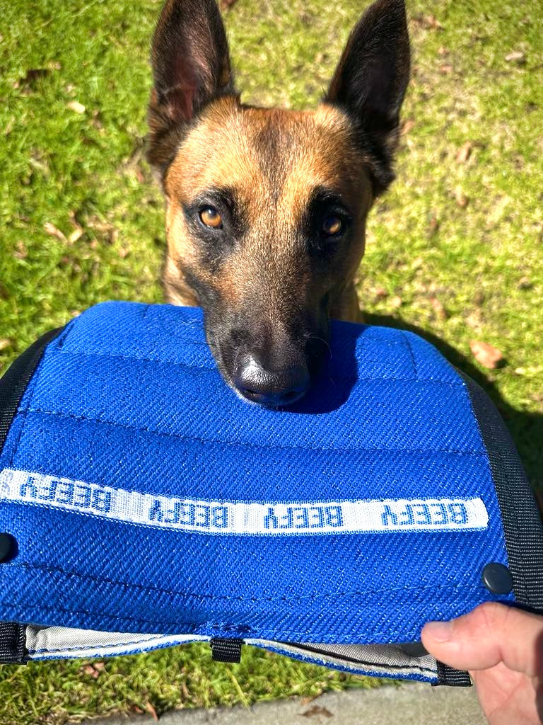 Beefy Wedge (orange)