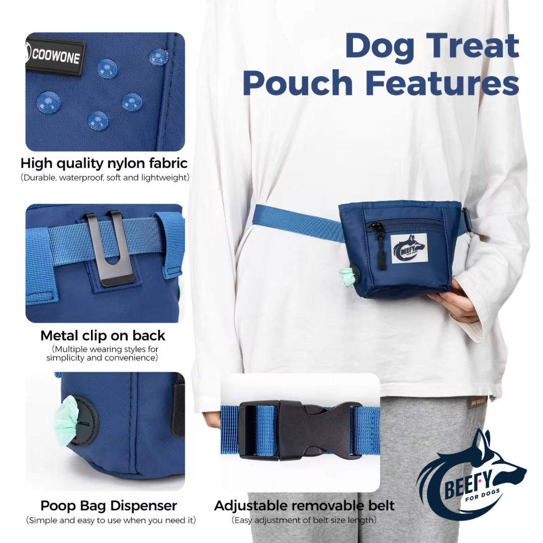 Beefy Treat Bag